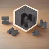 3D Wooden Brain Teaser - Tetris